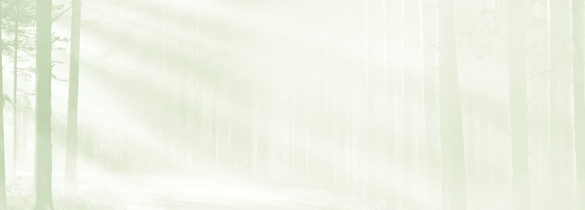 Лиственница